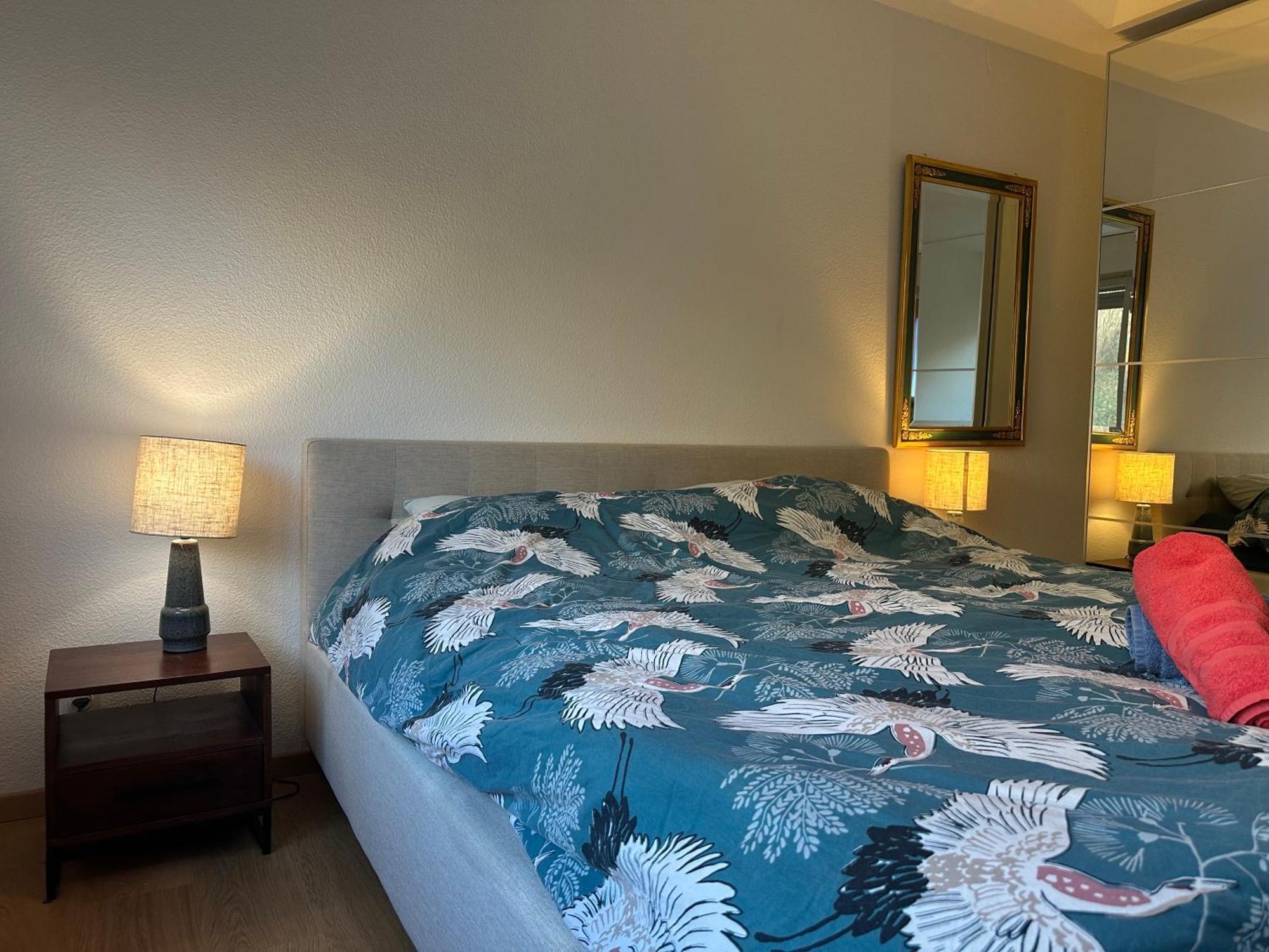 Lovely Room, 15 Min From Center, Mountain View Zürich Kültér fotó